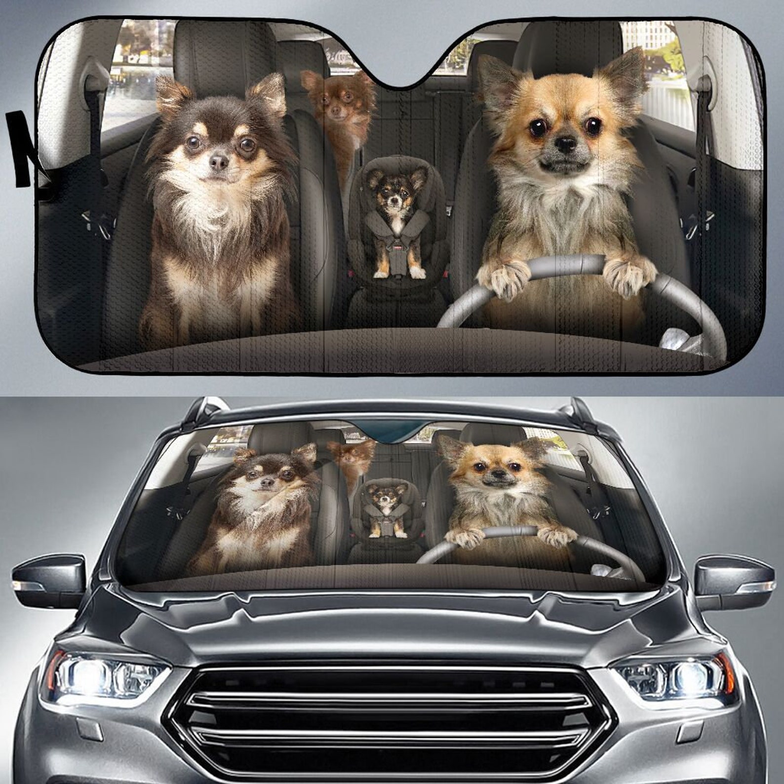 Chihuahua Long Hair Auto Sun Shade Fantastic Gift Foldable Etsy