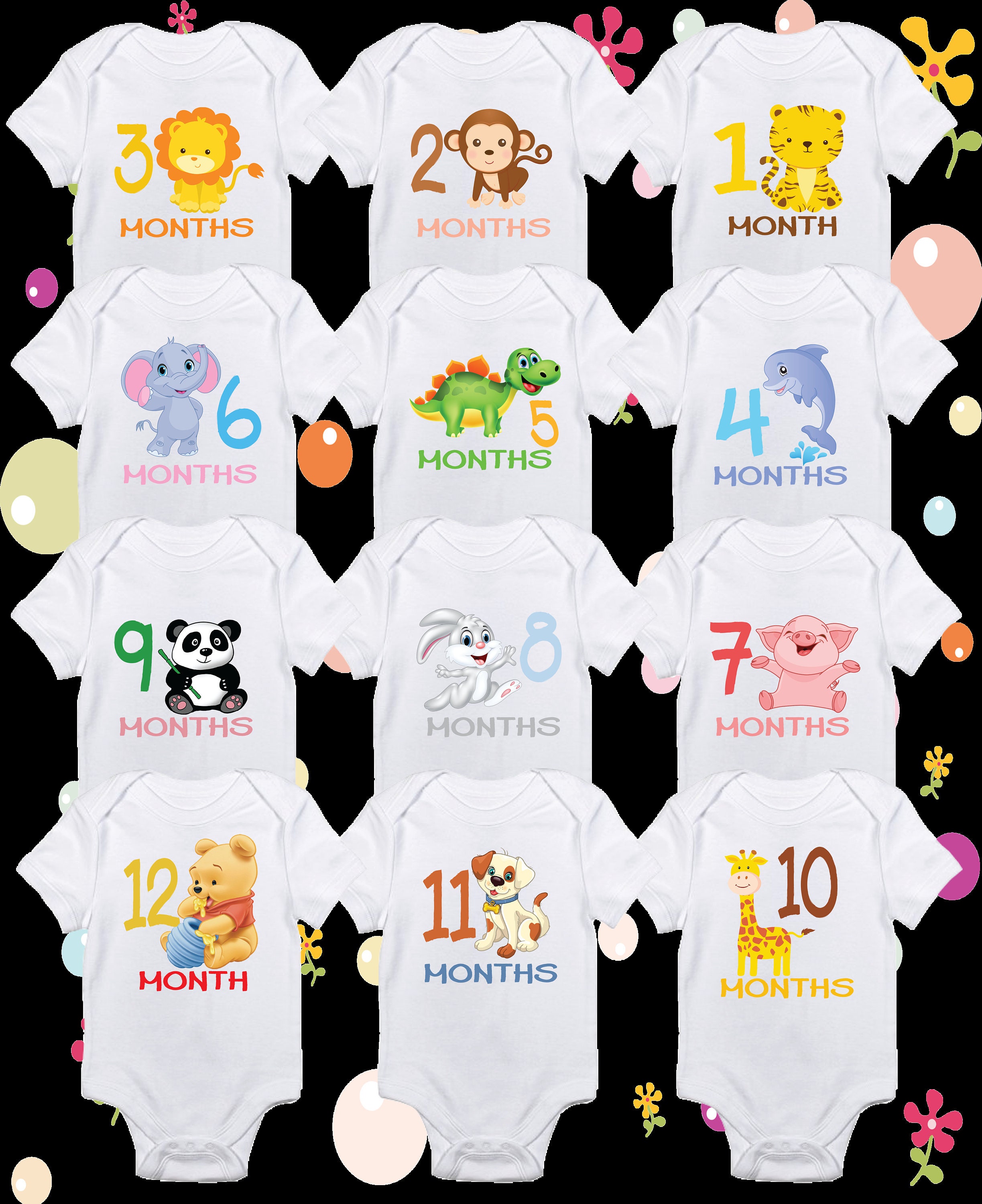 Monthly Milestone Onesies, 12 Months Set for Baby, Monthly Onesies