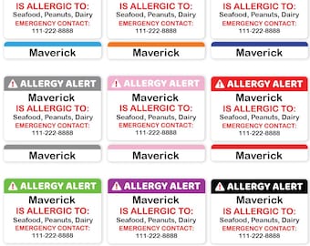 Lunch Box/Tupperware Custom Allergy Labels| Kids & Adult Allergy Alert Labels for Lunch Boxes, School, and Daycare | Set of 10 Labels