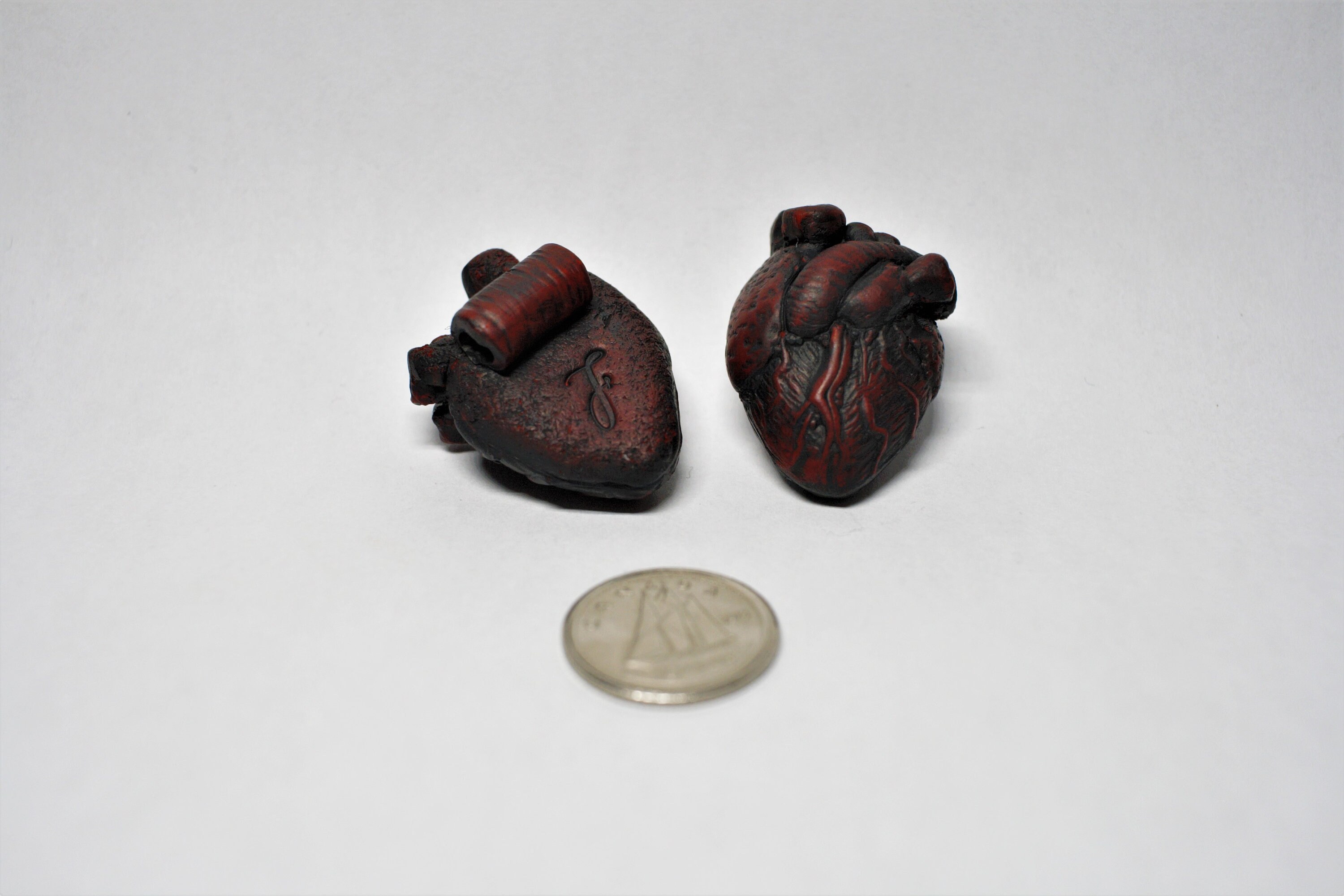 Anatomical heart pendant Polymer clay heart Pendant Etsy