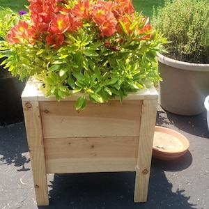 May include: A wooden planter box with a natural finish, filled with a vibrant orange flowering plant. The planter is sitting on a gray concrete surface.