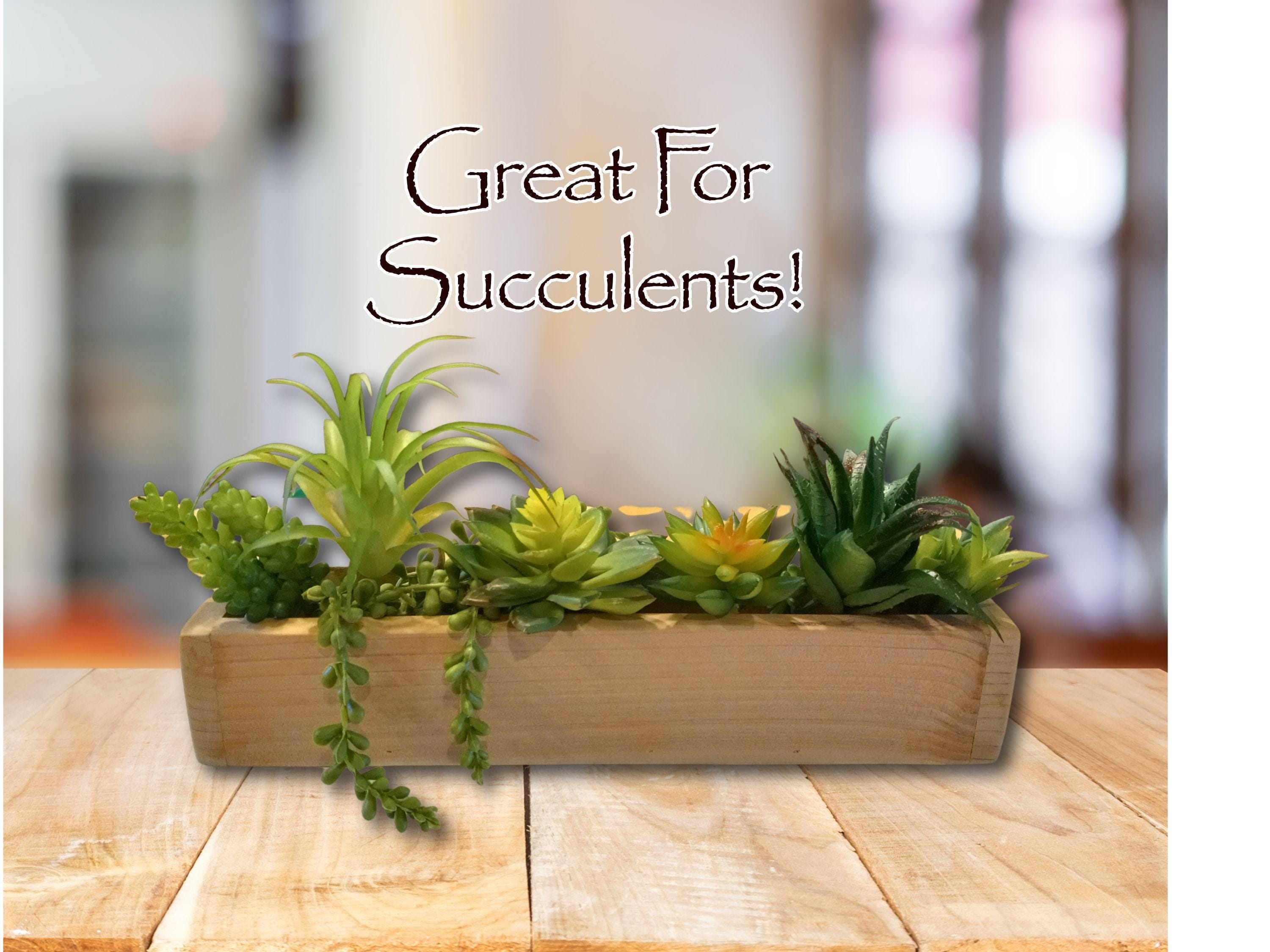 Cedar Succulent Planter Box