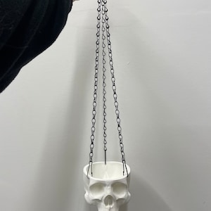 May include: White ceramic skull planter hanging from a black chain. The planter is empty and ready to be filled with plants.