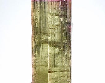 Bi-color Turmalin Kristall, Afghanistan Specimen, 4.9 Karat