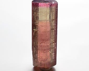 Cristal de turmalina bicolor natural, espécimen de Afganistán, 4,3 quilates