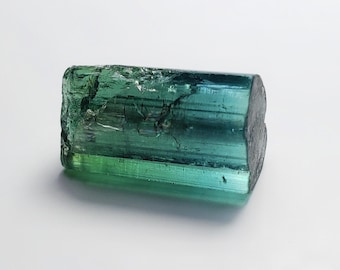 Cristal de turmalina bicolor, espécimen de Afganistán, 9,2 quilates