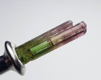 Bi-color Turmalin Kristall, Afghanistan Specimen, 3.9 Karat