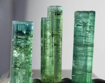 10.5カラットのバイカラートルマリン結晶（母岩付き） - パキスタン