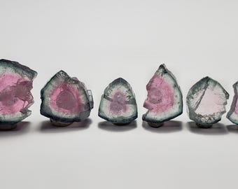 Lote de rodajas de turmalina bicolor natural de una mina de Afganistán, 10,5 quilates