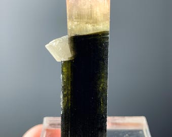 Bi color Turmalin Kristall kombiniert mit Feldspat 26,5 Karat