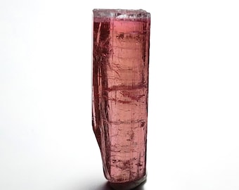 Ejemplar de cristal de turmalina bicolor, piedra preciosa en bruto, Afganistán, 5,4 quilates
