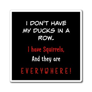 Funny Squirrel Quote Fridge Magnet, Whimsical Kitchen Decor, Funny Magnet for the Organized Person, Funny Magnet for the Unorganized