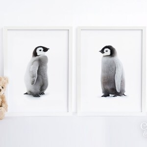 Nursery Wall Art, Penguin Nursery Print, Set of 2, Printable Wall Art, Nursery Wall Decor, Nursery Animal Print, Nursery Watercolor