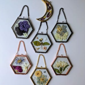 Pressed Flower Art, Flower Frame, Glass Hanging Frame, Flower Art, Botanical Art, Floral Frame, Wall Decor, Pressed Flower Frame,