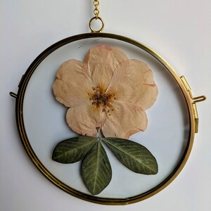 Pressed Flower Art, Flower Frame, Glass Hanging Frame, Flower Art, Botanical Art, Floral Frame, Wall Decor, Pressed Flower Frame,