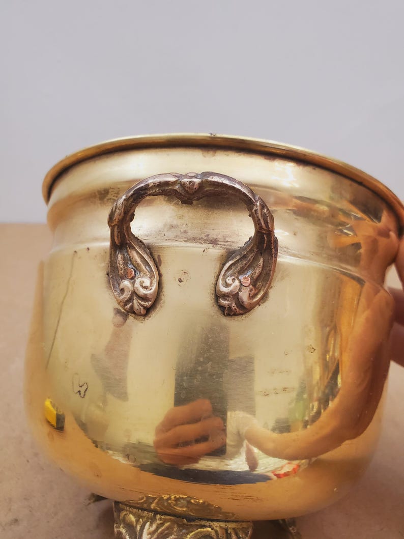 May include: A polished brass planter with ornate handles and a decorative base. The planter has a rounded body and a wide rim. The handles are detailed with floral designs. The brass has a warm, golden hue.