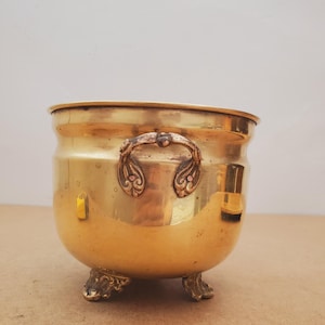 May include: A gold-coloured metal planter with ornate handles and decorative feet. The planter has a rounded body and a wide opening. The handles feature a detailed, scroll-like design. The feet are also intricately designed.