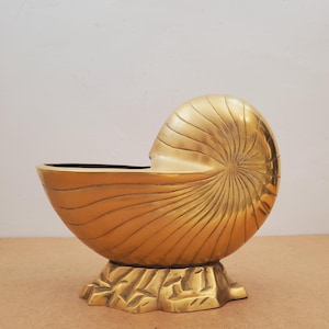May include: A brass nautilus shell-shaped bowl. The bowl has a spiral design on the exterior and rests on a detailed, textured base. The interior of the bowl is dark, contrasting with the polished brass. A decorative item.