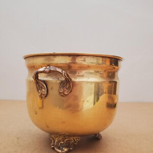 May include: A polished brass planter, golden in colour, with decorative handles and feet. The round pot has a wide opening and a curved body. The planter is designed for plants, adding elegance to a room. The planter's dimensions are approximately 20 cm in diameter.