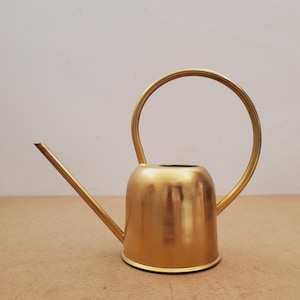 Può includere: Un annaffiatoio color oro con un manico curvo e un lungo beccuccio sottile. L'annaffiatoio ha un corpo arrotondato e una base circolare. Il manico si incurva sopra la parte superiore dell'annaffiatoio, creando un design semplice ed elegante.