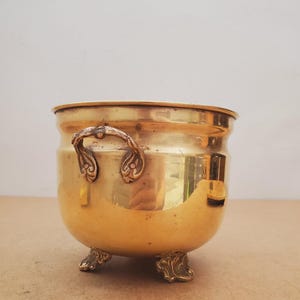May include: A polished brass planter with decorative handles and feet. The round pot has a wide opening and a curved body. The handles and feet feature detailed, ornate designs. The planter is empty and sits on a neutral surface.