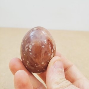 May include: A brown and white mottled, egg-shaped stone. The stone is held in a hand, highlighting its smooth surface and natural variations. The egg-shaped stone is a decorative item. The stone is approximately 6 cm in height.