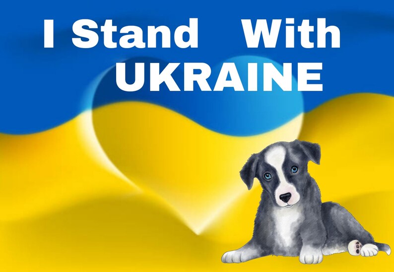 May include: A blue and yellow heart-shaped design with the text "I Stand With UKRAINE" on a blue background. A black and white puppy sits in front of the design.