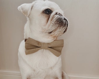 Doggy bow tie