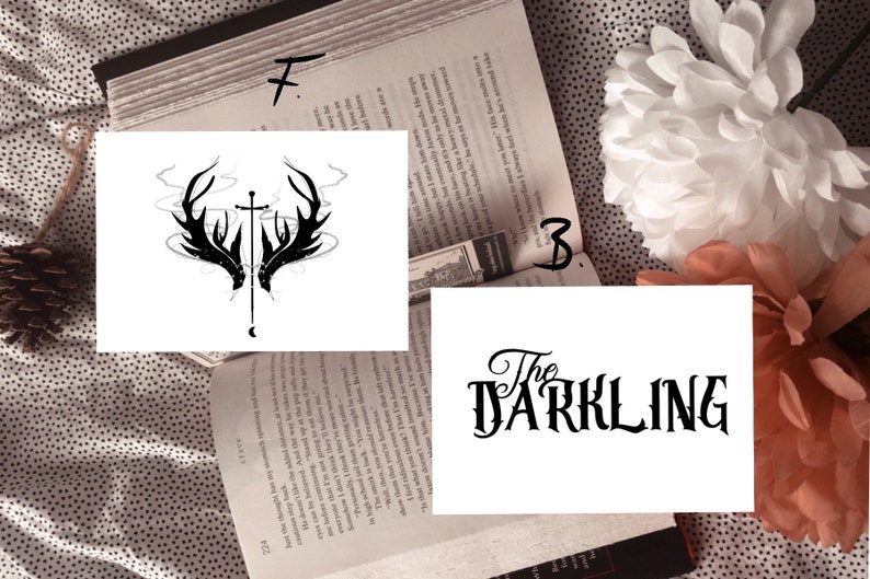 LIMITED Shadow and Bone The Darkling Inspired Bookish T-Shirt!