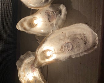 Oyster shell light strand 15 plug in