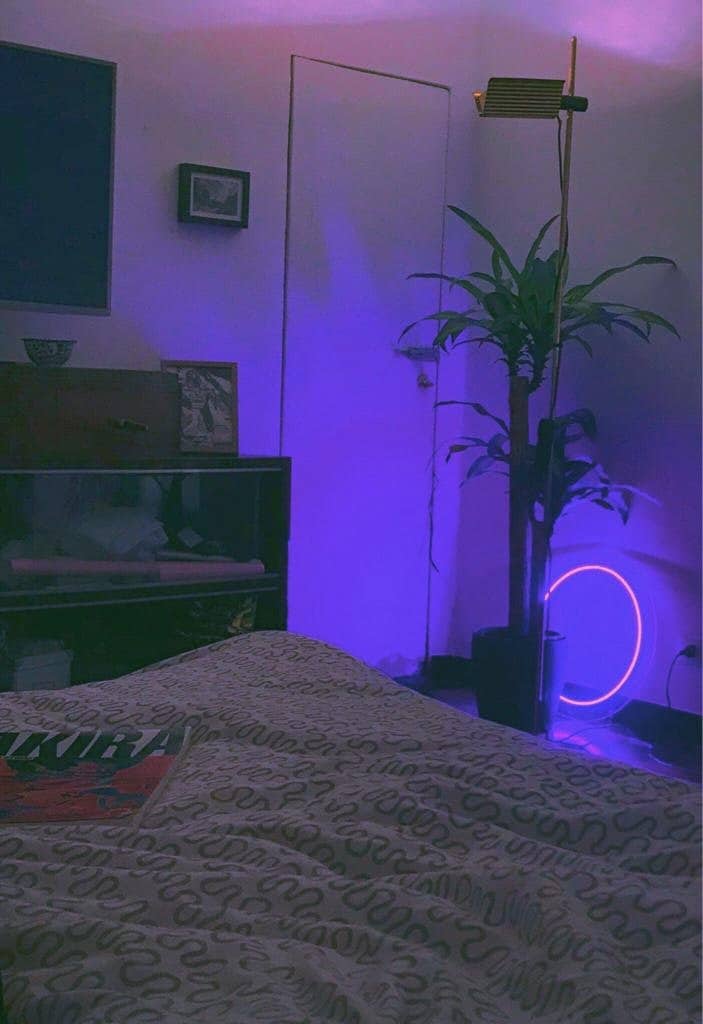 Halo Neon LED Halo Circle Lighting Zen Etsy