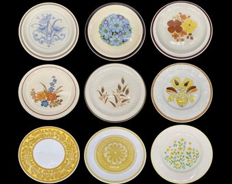 Vintage Individual Stoneware Dinner Plates