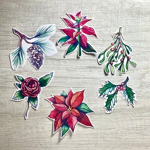 May include: Set of six Christmas-themed illustrations featuring a poinsettia, a pine cone, a rose, mistletoe, holly, and a sprig of greenery.