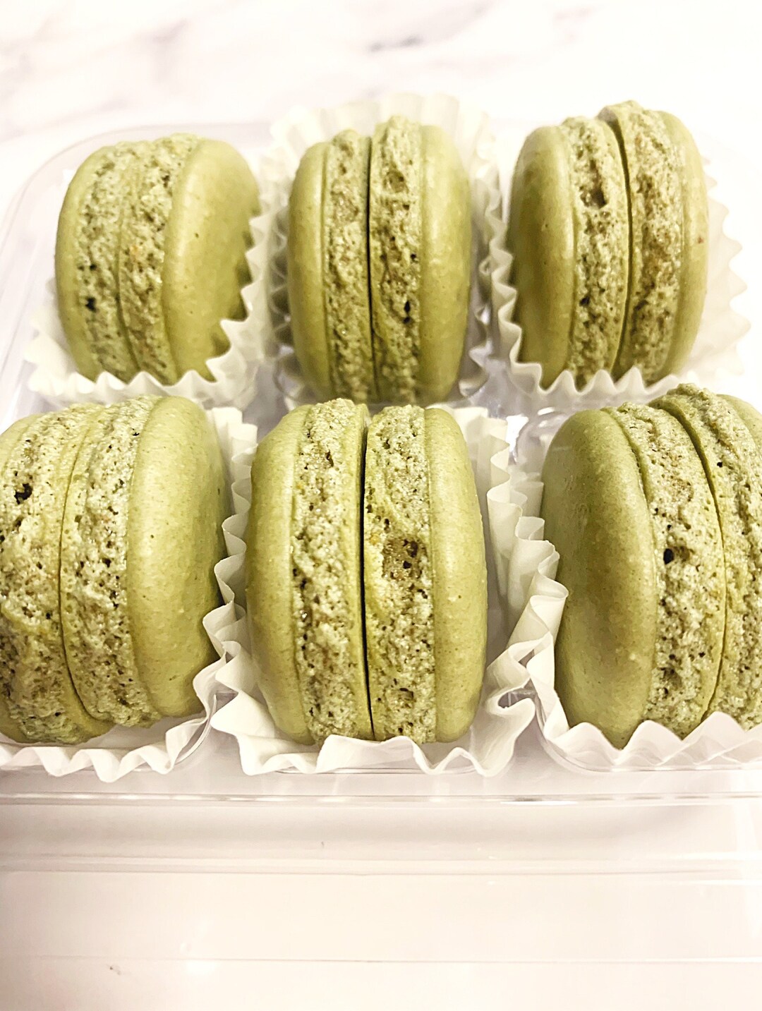 Sage Green Macaron Shells Neutral Tones sets of 18 35 Etsy