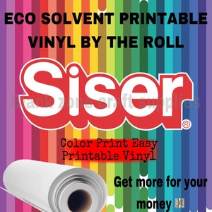 Siser Easycolor DTV direct to Vinyl and Siser TTD Easy Mask 8.4 X 11 Sheets  Inkjet Printer Compatible Heat Transfer Vinyl HTV 