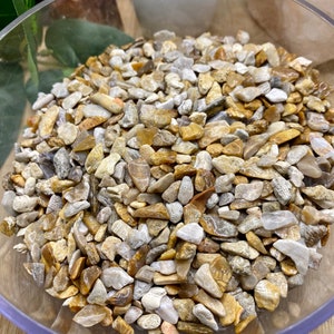 1 kilogram lot of 5mm-8mm Fossil Coral Gemstone Chips