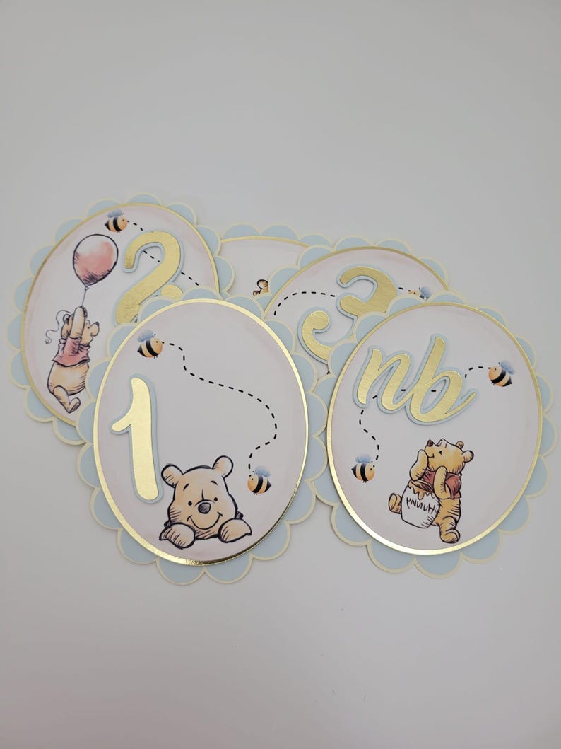 Winnie the Pooh Monthly Photo Milestone Banner, First Birthday Decor - Etsy