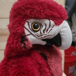 May include: A plush toy parrot with vibrant red feathers and a white face. The parrot has a black beak, a large, round eye with a yellow iris, and brown markings around the eye.