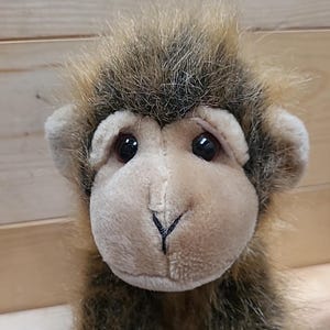 TY BEANIE "Cha Cha" Monkey>Collectors 1998 Small Plush/Ready to Adopt! Pre-loved 7" Cuteness