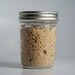 Fresh organic whole wheat sourdough starter- live sourdough starters 