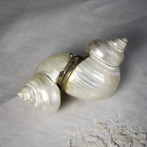 Puede incluir: Una caja de baratijas nacarada en forma de nautilus, con tapa con bisagras y detalles metálicos plateados. El recipiente en forma de concha es blanco con reflejos iridiscentes, sobre una superficie blanca texturizada.