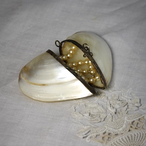 Puede incluir: Un joyero de concha nacarada, abierto para revelar un collar de perlas. La caja tiene una bisagra y un borde de metal. El fondo es una tela blanca texturizada con ribete de encaje.