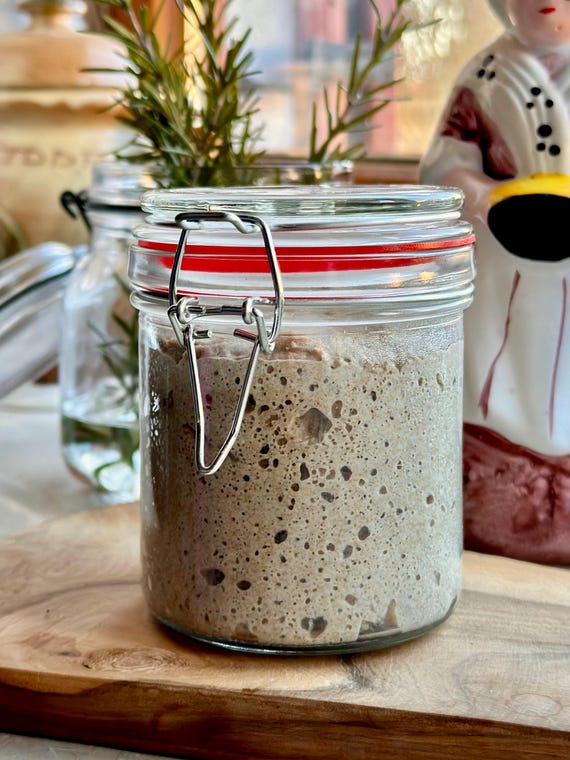 Sauerteig Starter Anstellgut „Knusperkruste“ Roggensauerteig BIO demeter 60g