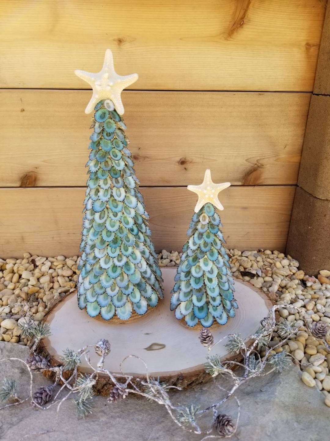 Limpet Shell Christmas Tree With Starfish Topper Handmade - Etsy
