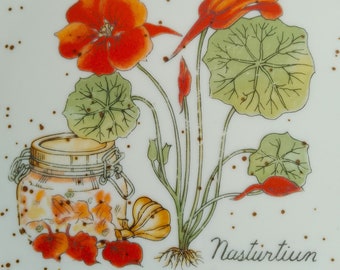 Pretty Cottage Nasturtium Stoneware Plate, Vintage 1970s, Made in Japan