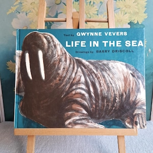 La vie dans la mer de Gwynne Vevers, avec des dessins de Barry Driscoll