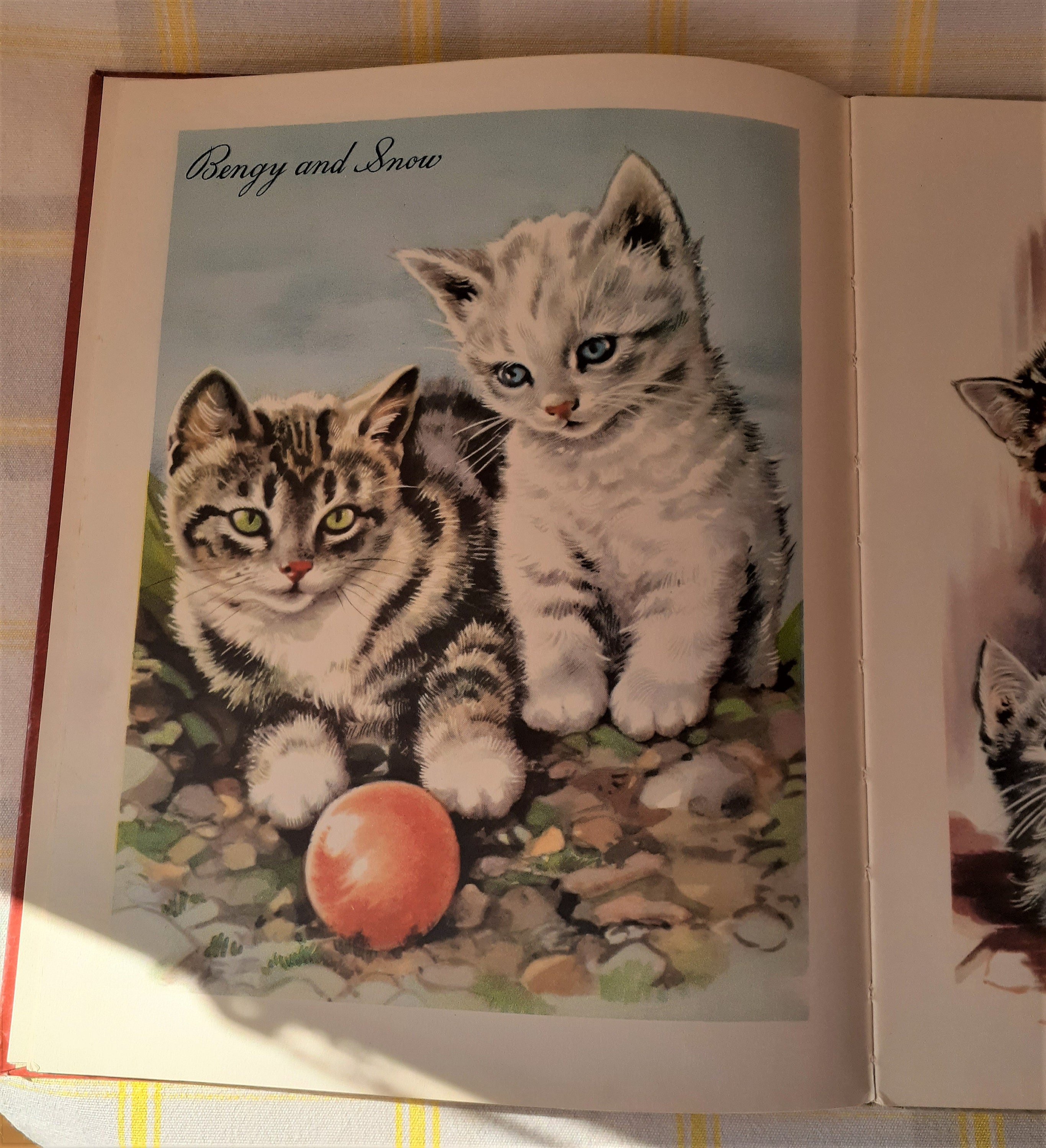 Children's Fiction Cat Books Hardcover Books Award Winning Mixed
