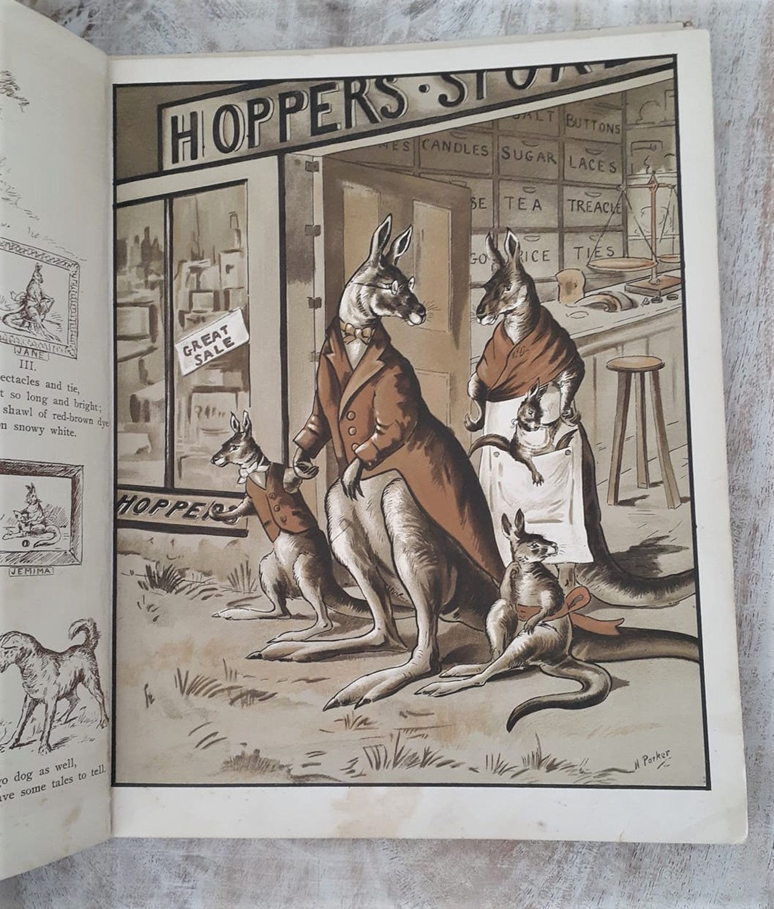 Rare book The History of the Hoppers c.1912 First Edition Etsy