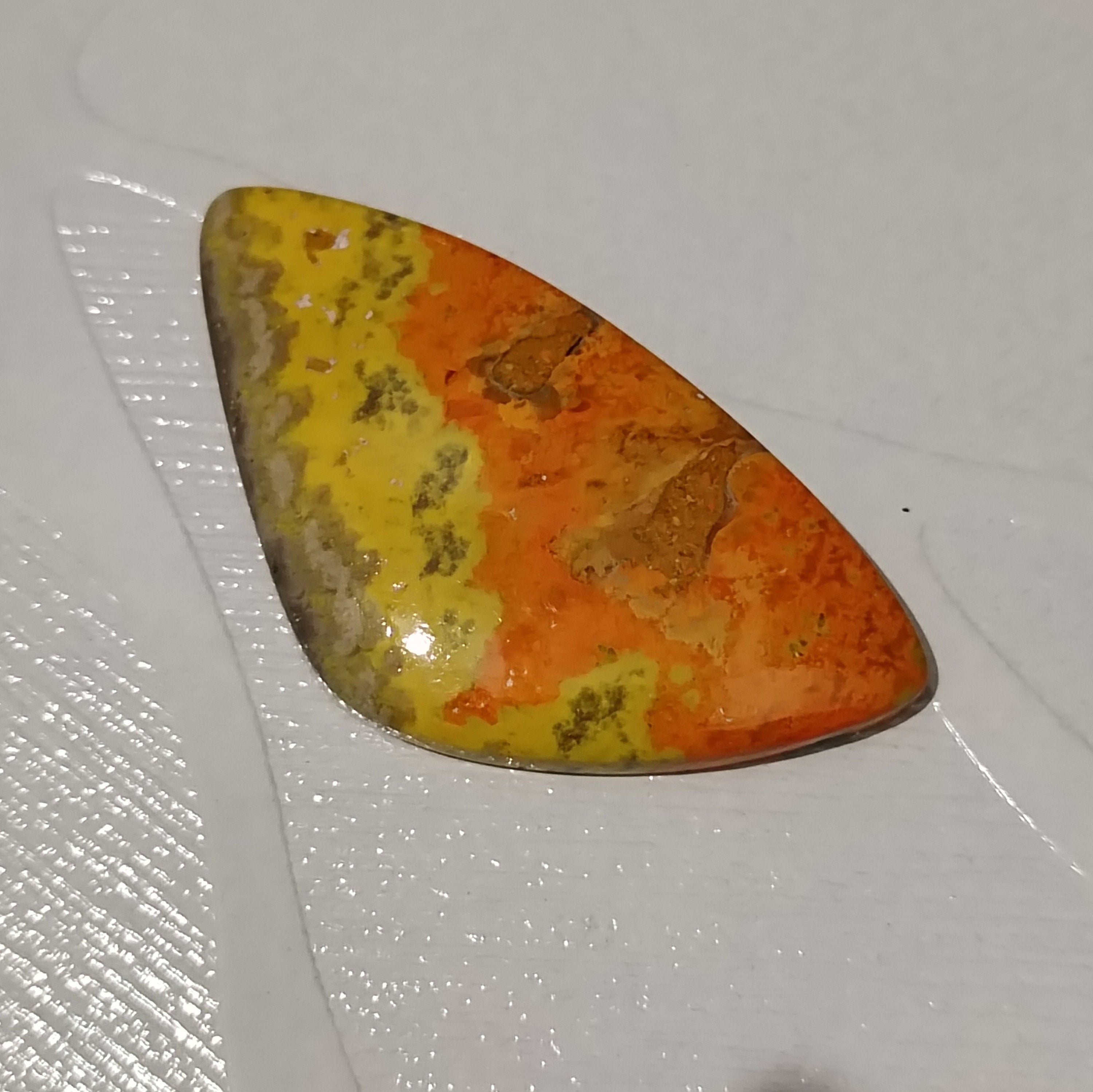bee jasper bee jasper