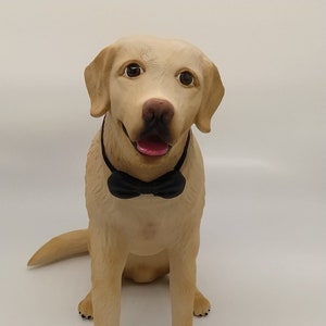 Custom pet figures - Custom animal figures - Dogs - Cats - 3D printing - Resin - Painted figures - 3D paint